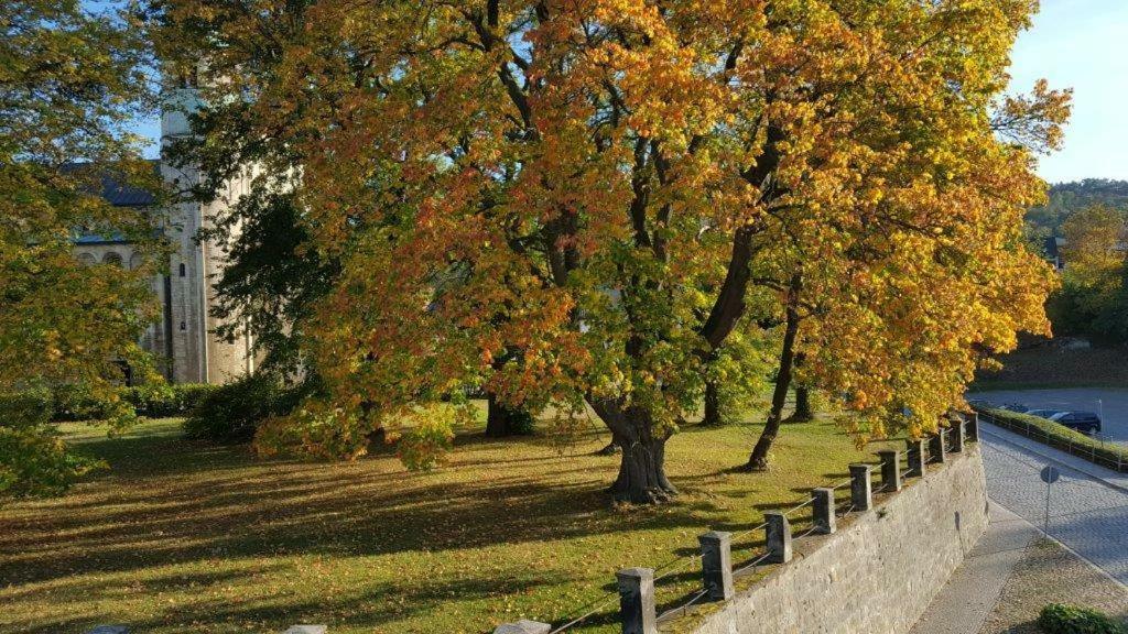 Stiftsblick Διαμέρισμα Gernrode  Εξωτερικό φωτογραφία